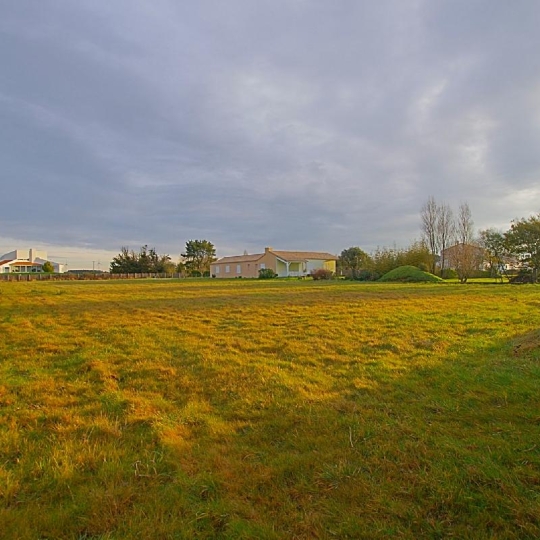  Annonces BRETIGNOLLES : Ground | L'ILE-D'OLONNE (85340) | 3 305 m2 | 182 900 € 